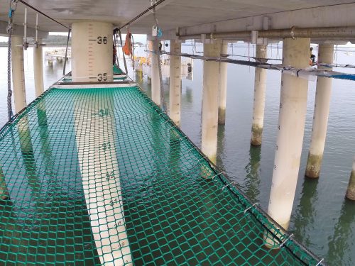 A close up of installed tension netting on the underside of the jetty.