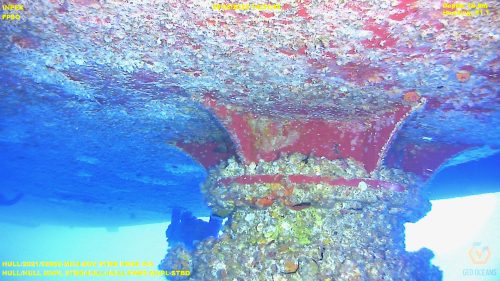 An underwater image showcasing a section of the INPEX FPSO vessel, heavily encrusted with marine organisms, depicting severe biofouling. The central focus is a large flange connection coated with rust and various sea life, including barnacles and algae. The vibrant red anti-fouling paint is still visible beneath patches of marine growth. The image data displays a date stamp of 29/06/2022, a depth of 16.0m, and a heading of 61.1 degrees. The water appears a deep blue, indicating the depth at which the photo was taken.