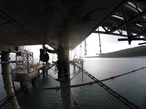 A silhouetted vertech rope access technician poses on installed tension netting.