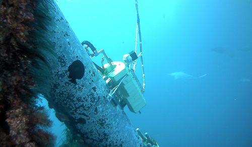 A sonomatic subsea, automated corrosion mapping system deployed by a Mini ROV on an FPSO riser turret mooring.