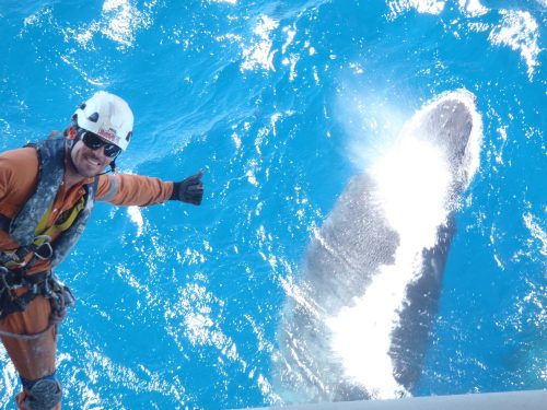 A rope access technician conducting over water rope access operations as a whale breaches on an offshore facility in australia. What an amazing shot !