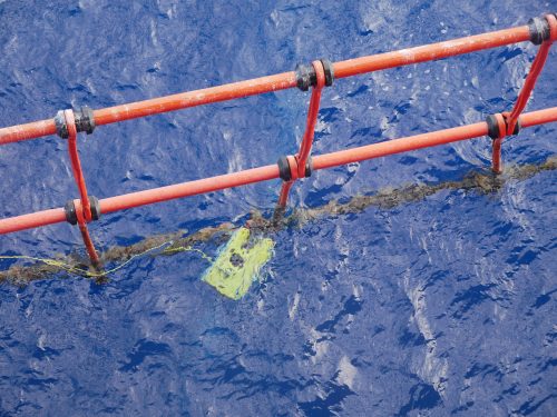 An ROV Inspects the CPF tension netting.