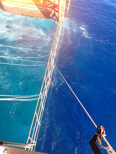 An overhead view of the tension netting being installed.