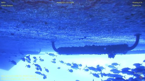 An underwater remote-operated vehicle image displaying the underbelly of the "Ichthys Venturer" in a deep blue ocean environment. The hull is coated with marine growth, and a school of fish is swimming below. The top of the image shows the water's surface with light diffraction patterns. Text annotations include "INPEX", "Ichthys Venturer", the date, time, heading, and depth of 6.7 meters. There's a stark contrast between the dark silhouettes of the ship’s hull appendages and the bright aquatic life.
